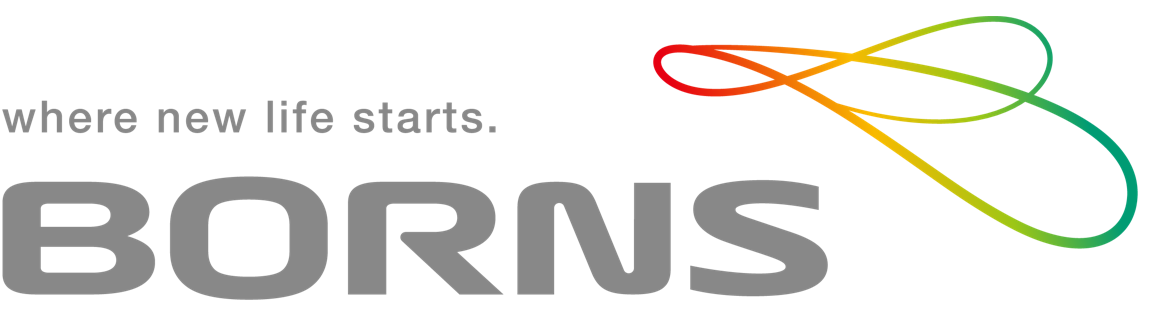 Borns Medical logo